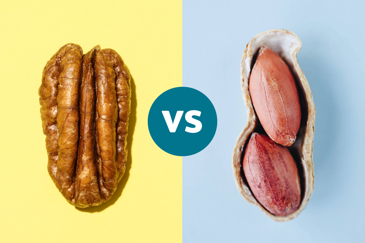 Which Nut Is Better for Your Heart and Cholesterol?