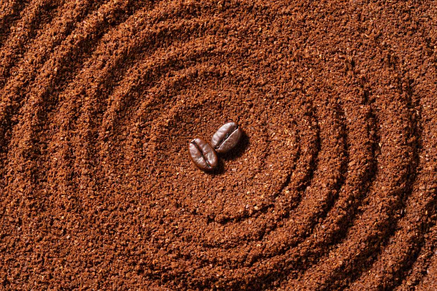 Whole vs. Ground Coffee Beans: Which Has More Antioxidants?