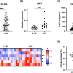 m6A RNA methylation modulates antiviral response in celiac disease