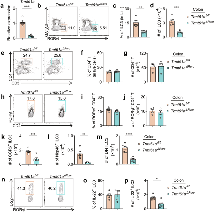 tRNA m1A modification is essential for gut homeostasis and function of group 3 innate lymphoid cells