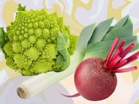 5 Anti-Inflammatory Vegetables To Eat in February