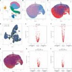 Antigen specificity of clonally enriched CD8+ T cells in multiple sclerosis