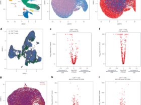 Antigen specificity of clonally enriched CD8+ T cells in multiple sclerosis