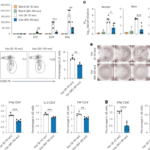 Attenuating age-related decline in dendritic cell migration improves vaccine efficacy via gut-immune crosstalk