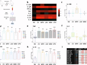 Author Correction: Oral vaccination stimulates neutrophil functionality and exerts protection in a Mycobacterium avium subsp. paratuberculosis infection model