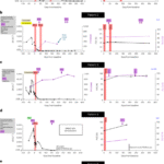 Bispecific T cell engagers for treatment-refractory autoimmune connective tissue diseases