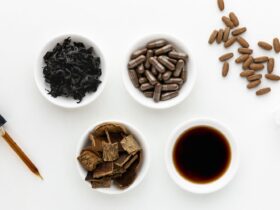 Can Eucommia Be the Natural Health Boost You Need?