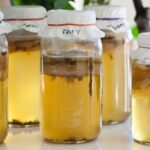 Can You Drink Too Much Kombucha?