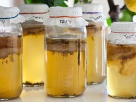 Can You Drink Too Much Kombucha?