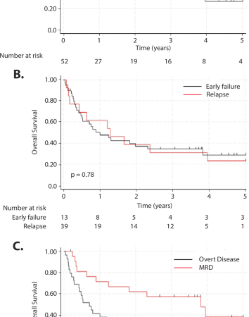 Characteristics and outcome determinants in children, adolescents and young adults who failed tisagenlecleucel for B-cell acute lymphoblastic leukemia