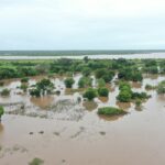 Climate change could hinder malaria eradication efforts