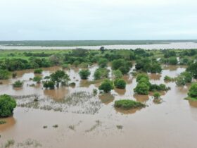 Climate change could hinder malaria eradication efforts