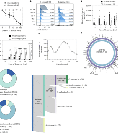 Conserved CD4+ T cell staphylococcal and streptococcal epitopes enable broad-acting vaccines in mice