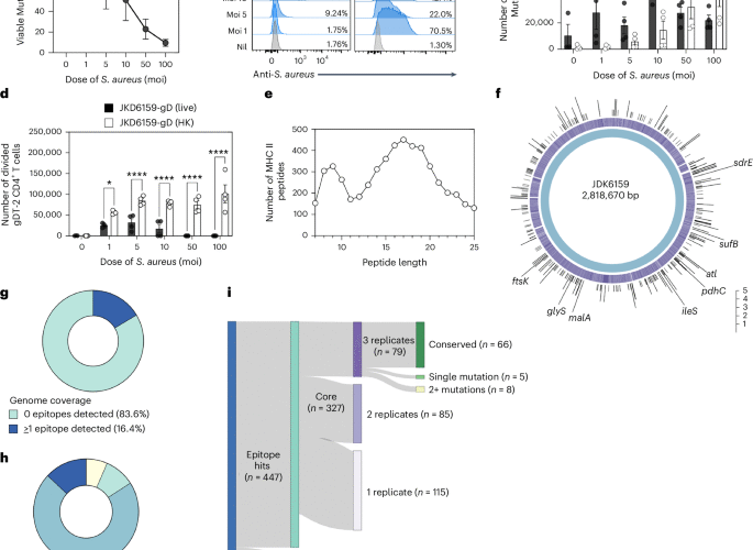 Conserved CD4+ T cell staphylococcal and streptococcal epitopes enable broad-acting vaccines in mice