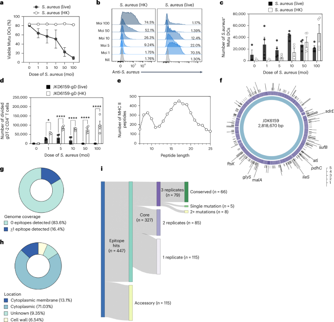 Conserved CD4+ T cell staphylococcal and streptococcal epitopes enable broad-acting vaccines in mice
