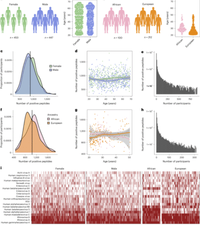 Demographic and genetic factors shape the epitope specificity of the human antibody repertoire against viruses