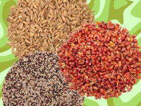 Dietitians Suggest These Anti-Inflammatory Whole Grains