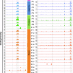 Epitope mapping of vaccine antigens Tc24 and TSA1 with antibodies from Trypanosoma cruzi-infected patients