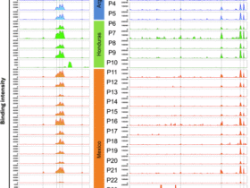 Epitope mapping of vaccine antigens Tc24 and TSA1 with antibodies from Trypanosoma cruzi-infected patients
