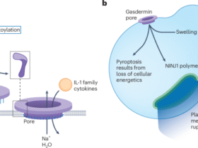Gasdermins against intracellular bacterial pathogens