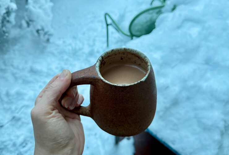 How To Make Hot Cocoa With Protein Powder: 3-Ingredient Recipe