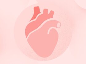 Hypertrophic Cardiomyopathy (HCM) Surgery and Procedure Options: What to Know About Septal Myectomy, Septal Ablation, and Heart Transplant