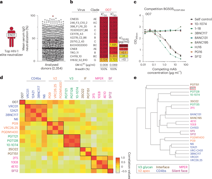 Identification of a potent V3 glycan site broadly neutralizing antibody targeting an N332gp120 glycan-independent epitope