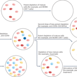 Immune reset and immune retune: approaching cure?