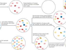 Immune reset and immune retune: approaching cure?