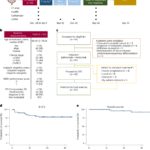 Ipilimumab and nivolumab followed by chemoradiotherapy as bladder-sparing treatment in muscle-invasive bladder cancer: a phase 2 trial