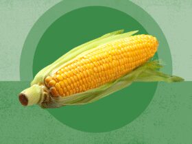 Is Corn Keto?