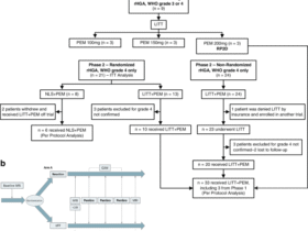 Laser interstitial thermal therapy and adjuvant pembrolizumab in recurrent high-grade astrocytoma: a Phase 1/randomized Phase 2b trial