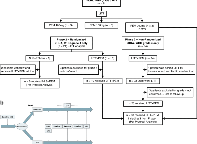 Laser interstitial thermal therapy and adjuvant pembrolizumab in recurrent high-grade astrocytoma: a Phase 1/randomized Phase 2b trial