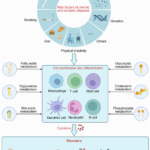 Lipid metabolism in homeostasis and disease