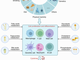 Lipid metabolism in homeostasis and disease