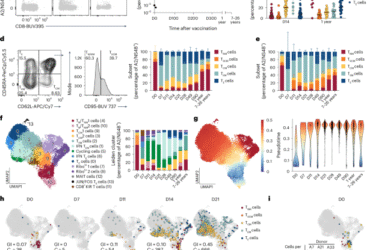 Metabolic quiescence of naive-like memory T cells precedes and maintains antigen-specific T cell memory