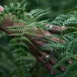 A person touching ferns, part of an outdoor meditation