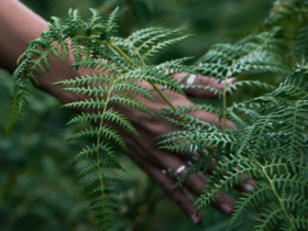 A person touching ferns, part of an outdoor meditation