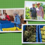 Organic Farming Is Boosting Senior Living Wellness