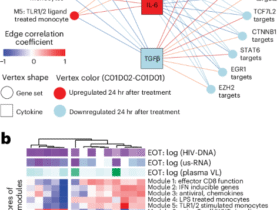 PD-1 blockade reprograms antiviral immunity and reduces the HIV reservoir
