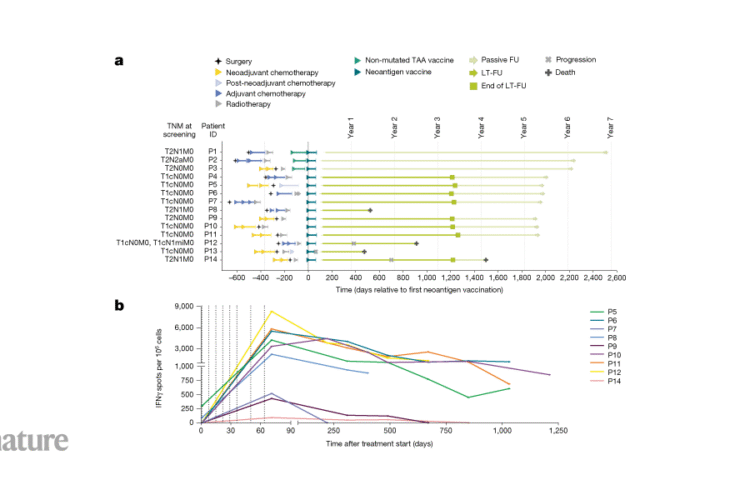 Personalized mRNA vaccine induces strong, durable immunity in hard-to-treat breast cancer