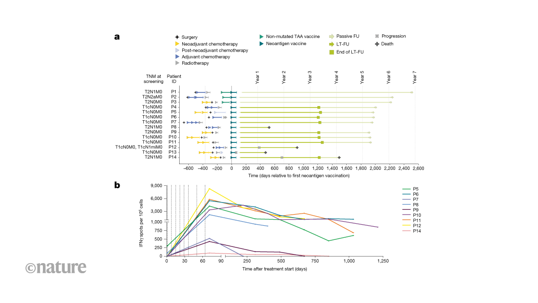Personalized mRNA vaccine induces strong, durable immunity in hard-to-treat breast cancer