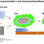 Programmable local immunochemotherapy for triple-negative breast cancer via spatiotemporally controlled release of CpG oligodeoxynucleotides, gemcitabine, and paclitaxel