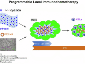 Programmable local immunochemotherapy for triple-negative breast cancer via spatiotemporally controlled release of CpG oligodeoxynucleotides, gemcitabine, and paclitaxel