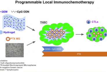 Programmable local immunochemotherapy for triple-negative breast cancer via spatiotemporally controlled release of CpG oligodeoxynucleotides, gemcitabine, and paclitaxel