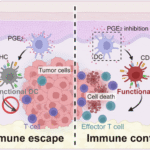 Prostaglandin E2 induces dendritic cell dysfunction in skin involvement of breast cancer