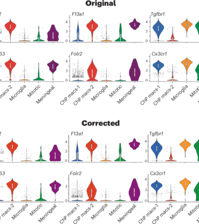 Publisher Correction: Diversity and immune dynamics of choroid plexus macrophages are shaped by distinct developmental origins