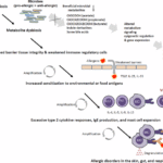 Regulation of allergies across the body by microbial metabolites