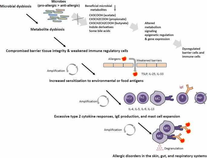 Regulation of allergies across the body by microbial metabolites