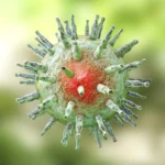 Scientists find a missing link between Epstein-Barr virus and multiple sclerosis